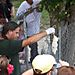 feeding des alligators