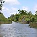 de nouveau, tour en airboat