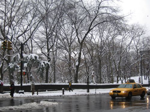 arrivéé sur central park