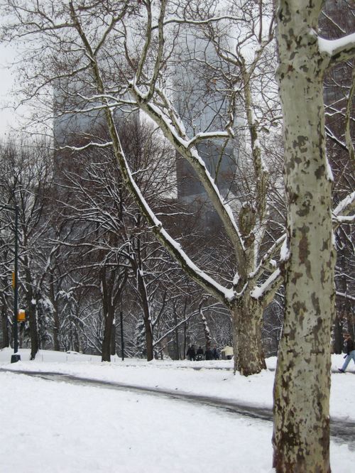 les immeubles au loin!