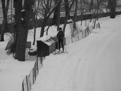 le ski de fond