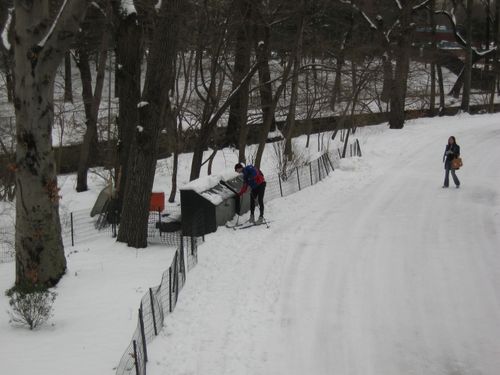 le skieur de fond