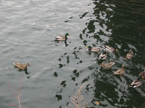 le reservoir n'était pas gelé lui