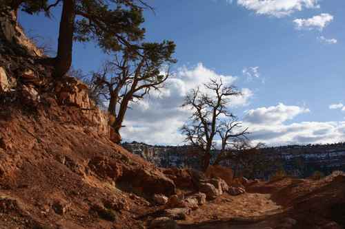 grand canyon