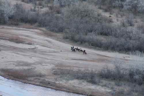 les chevaux qu'on a découvert trop tard!