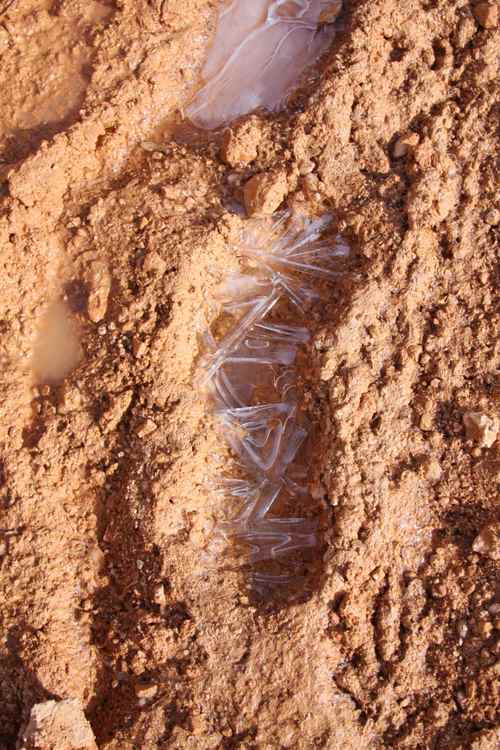 des traces de pieds gelées