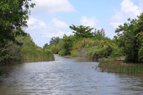 de nouveau, tour en airboat