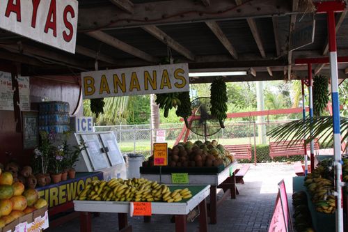 sur la route du retour, petit arret chez un vendeur de fruits repute!